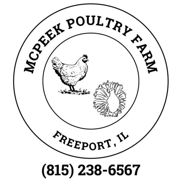 McPeek Poultry Farm back black adult Thumbnail